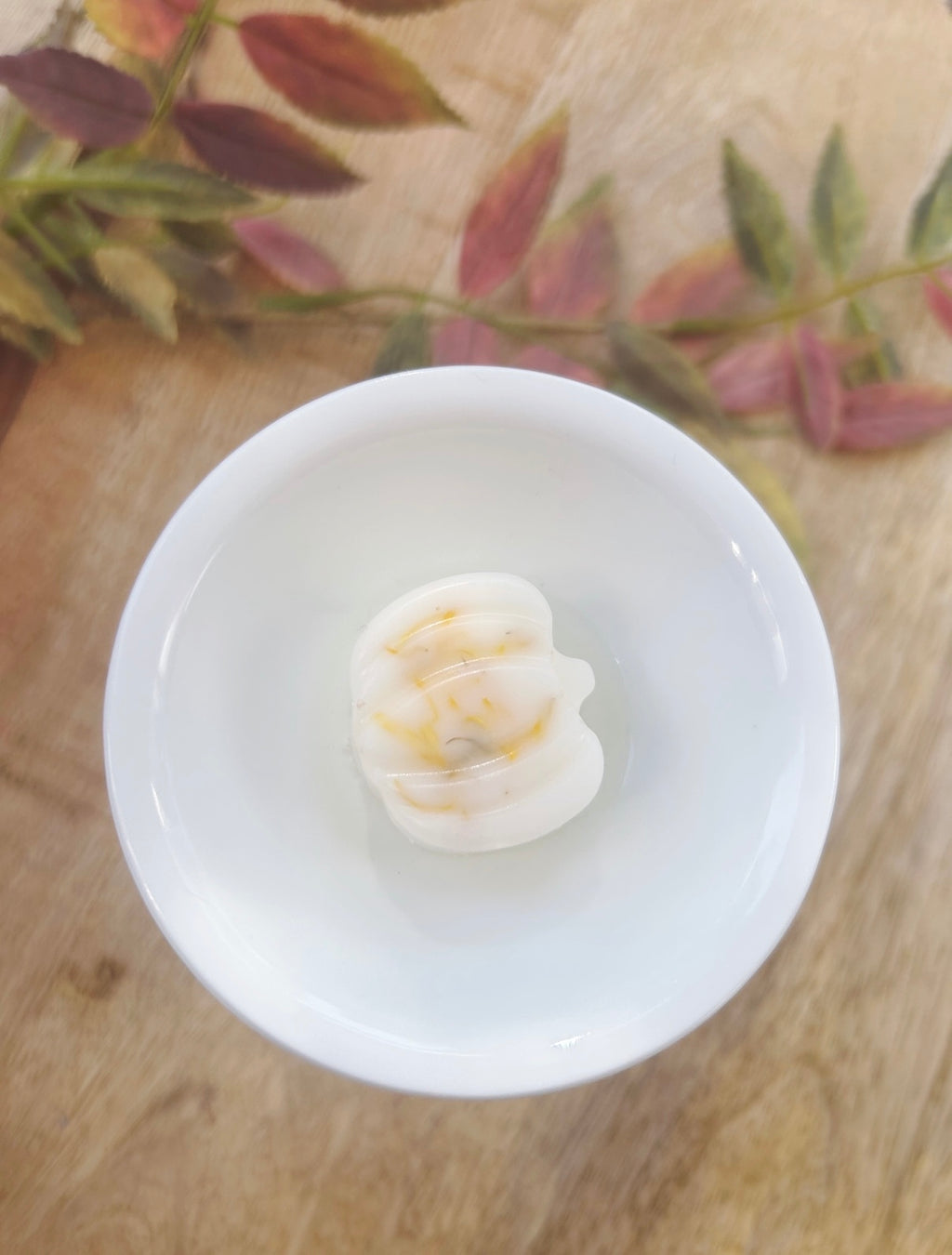 Apple N Spice | Wax Melts