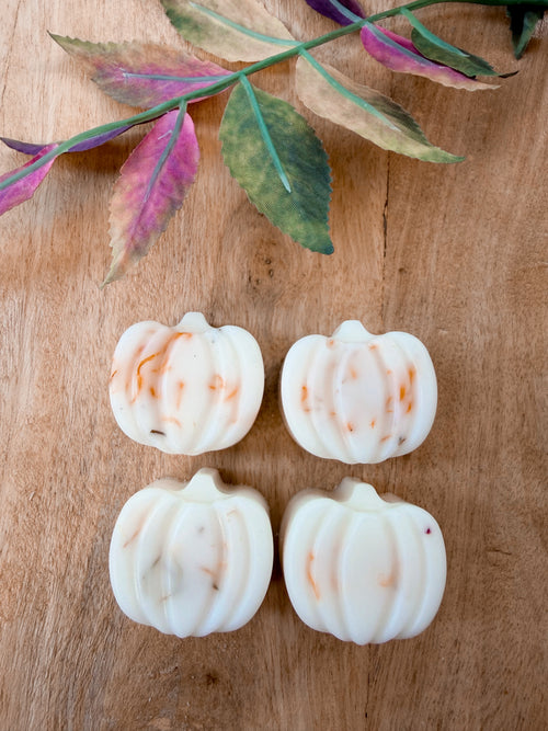Cranberry & Orange | Wax Melts