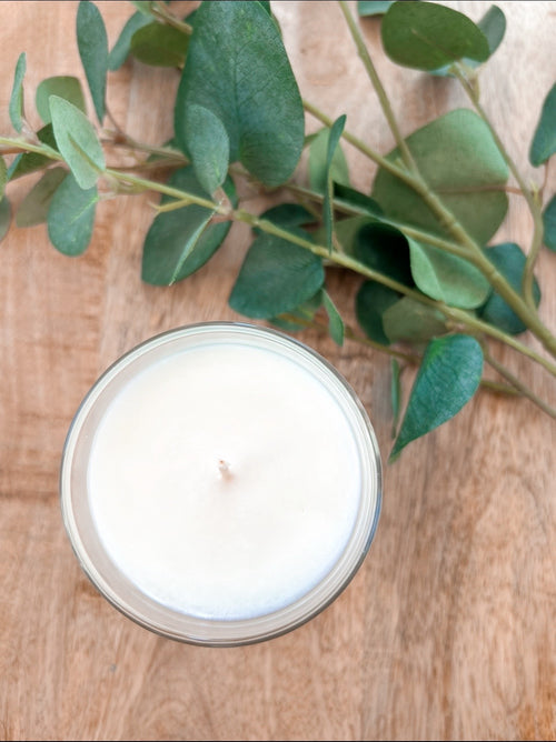 Citronella | 20cl Candle